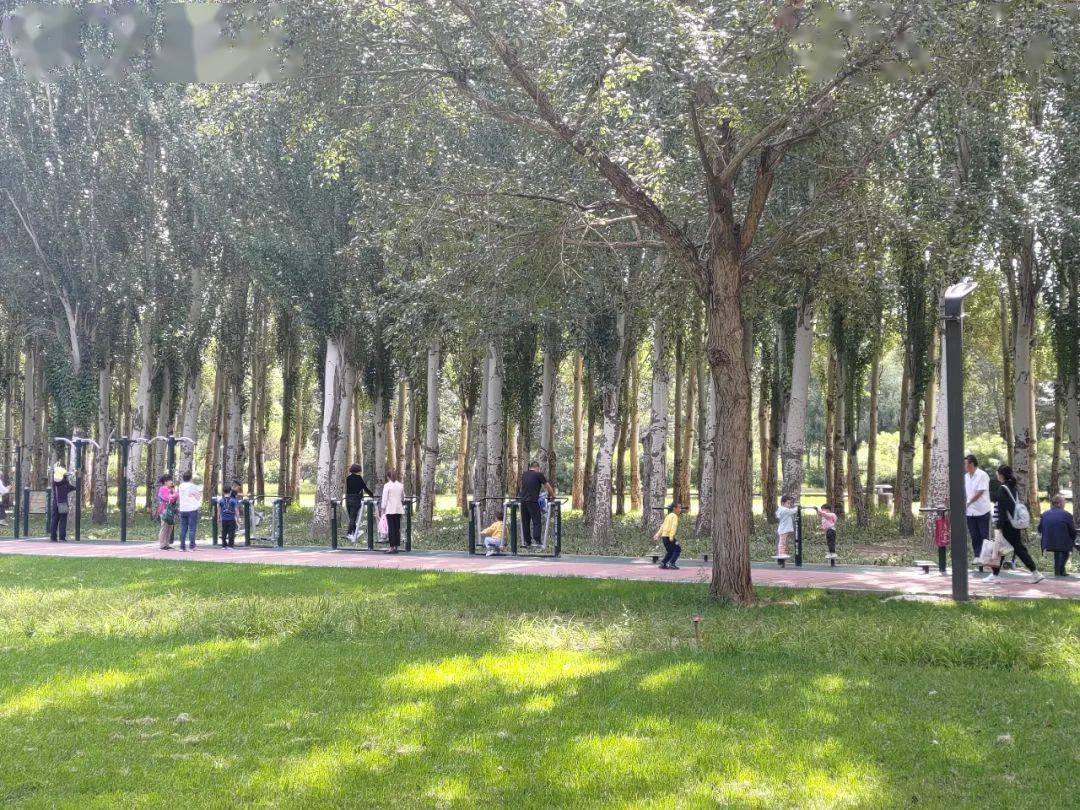 这个公园又升级了包头市森林公园成为包头最美名片