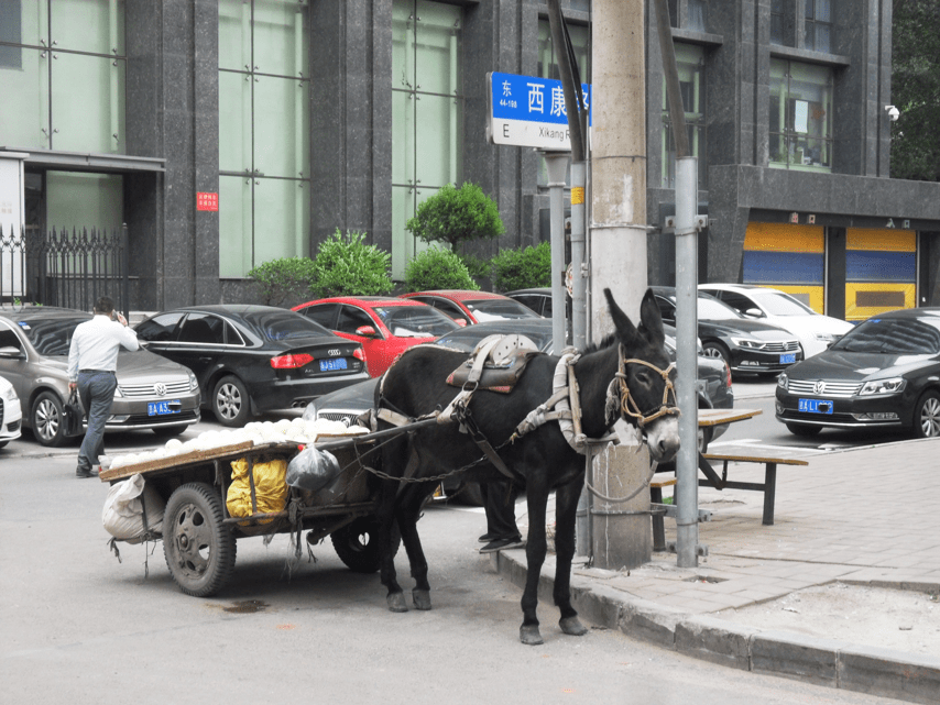 稿件|一周城市生活丨流动的丰盈