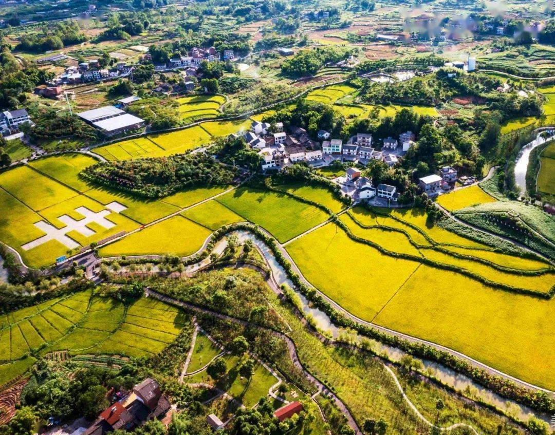 重庆长寿区清迈良园"丰"景如画.一派丰收的盛景.