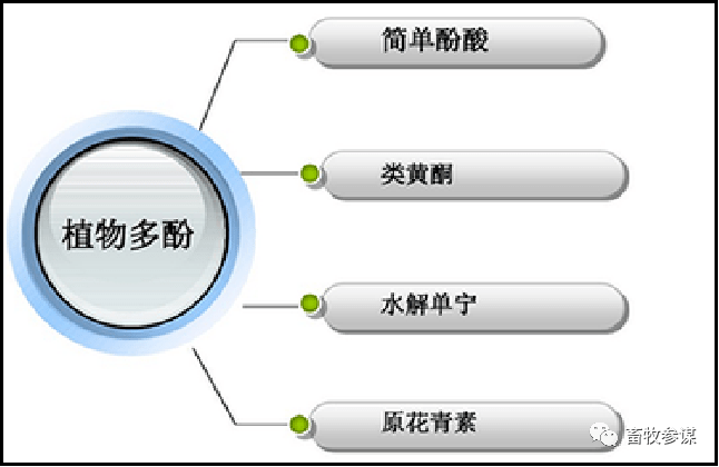 7312305eea9d47fb865aea7cff3bf554.png
