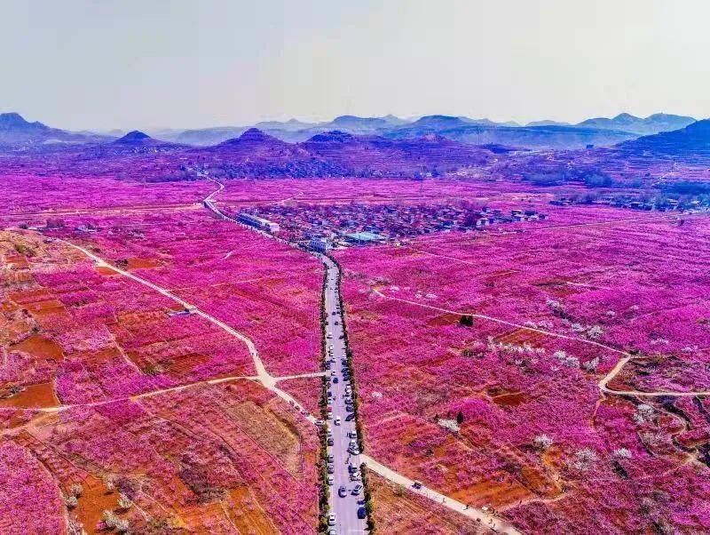 闲置小院又复活,枣庄山亭小李庄涌现乡村振兴大景象