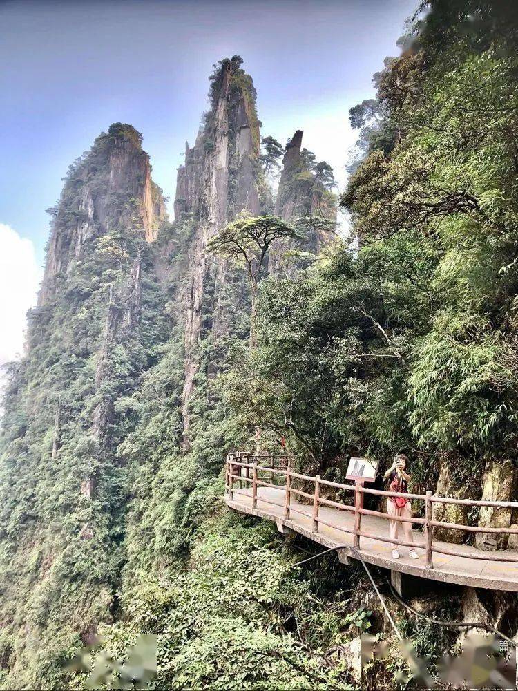 人在旅途刘合均的随笔莽山五指峰