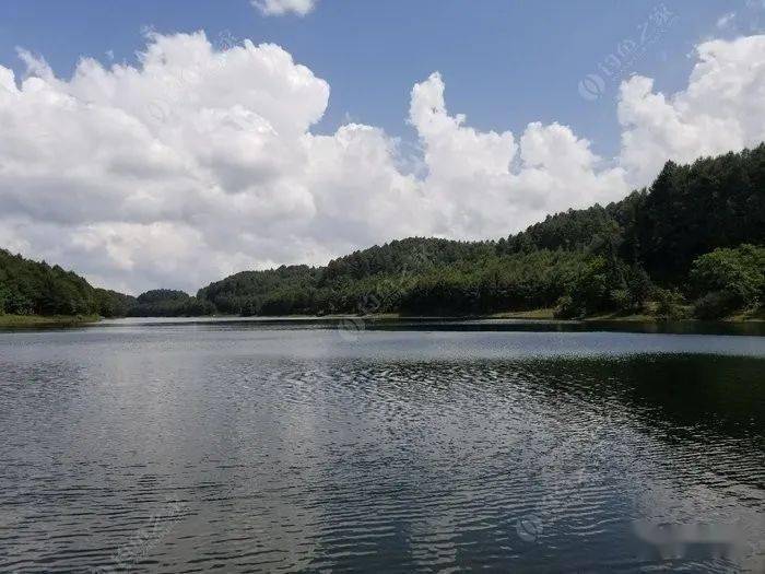大浪坝森林公园_双江