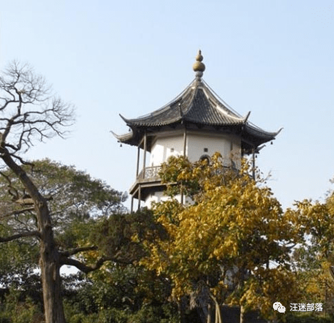 周曙奎楼侧伴叶知秋