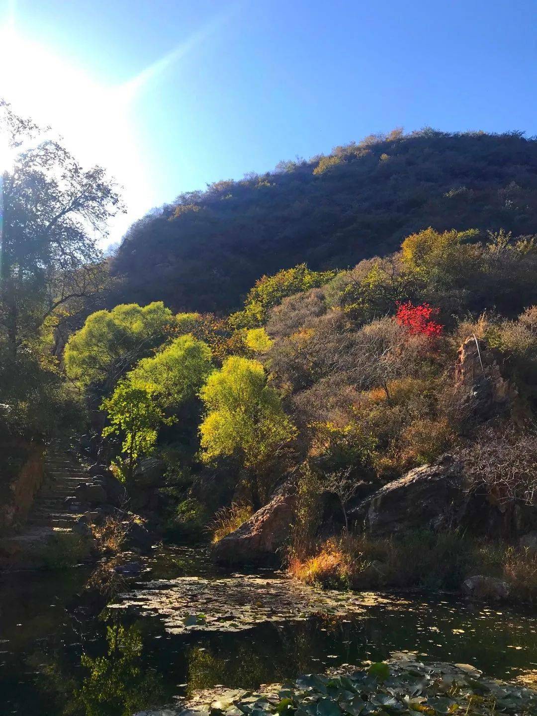 中秋时节到门头沟赏秋住民宿来一段诗意之旅