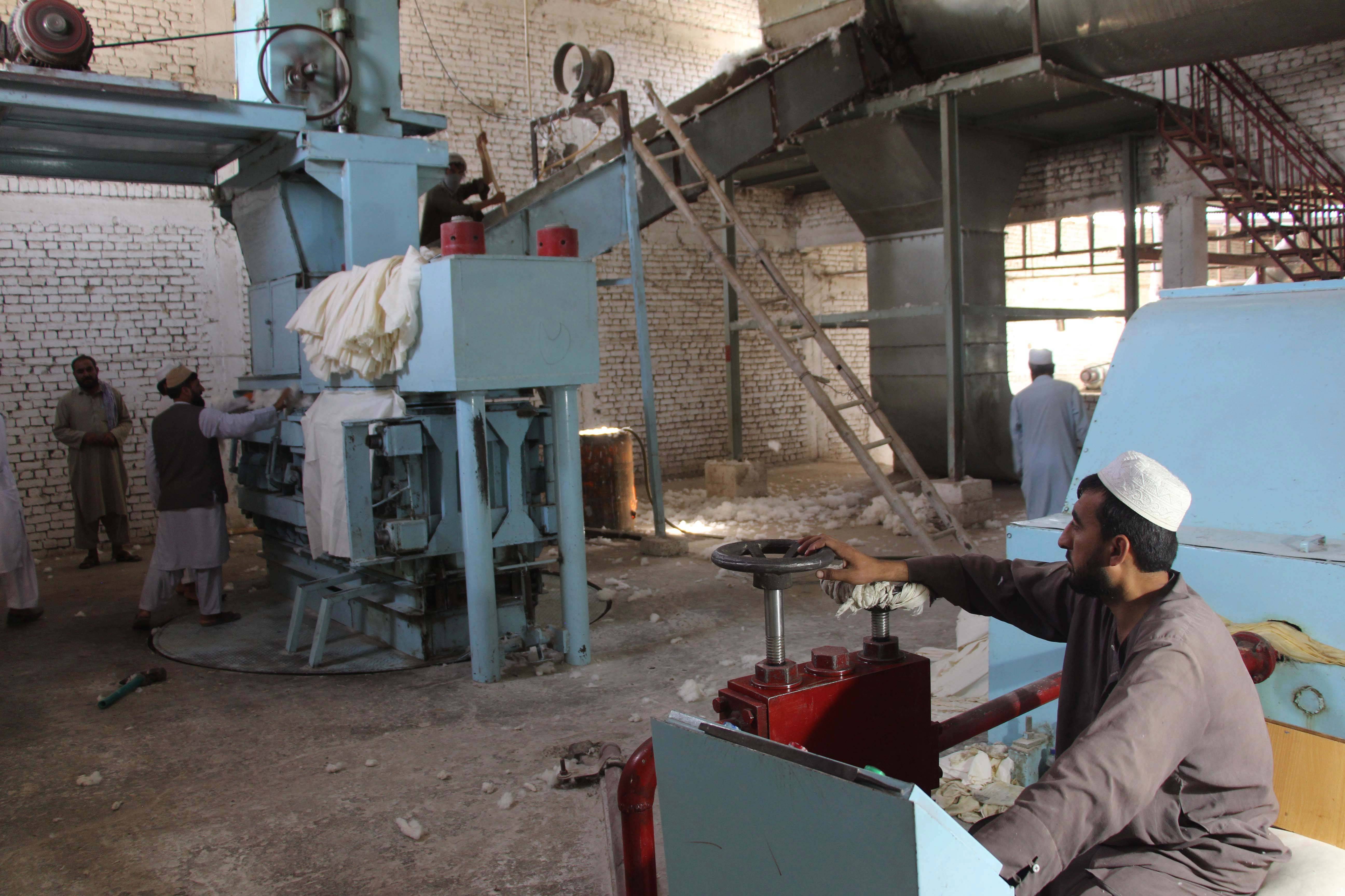 阿富汗:复工的棉花加工厂