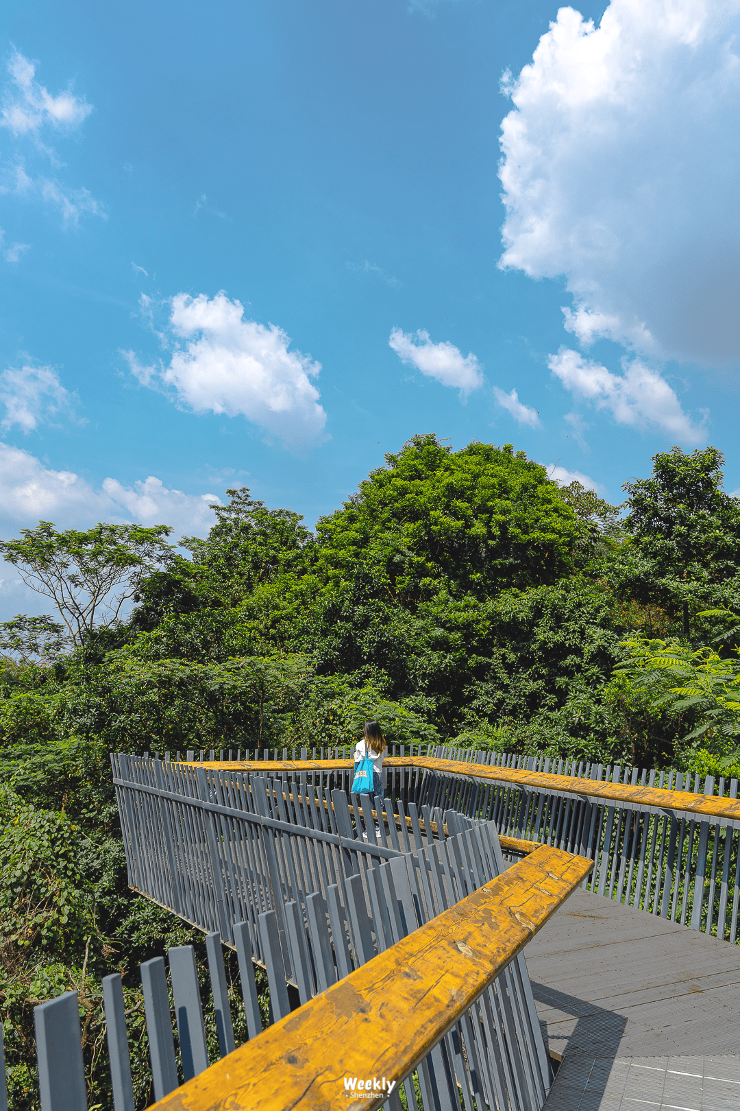 这条带玻璃悬空观景台的宝藏绿道,太适合假期出游了!