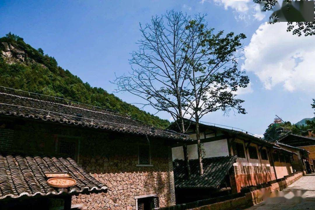 望仙谷在哪个村 a1649d774c434dd091c1085c1c82bf59.jpeg