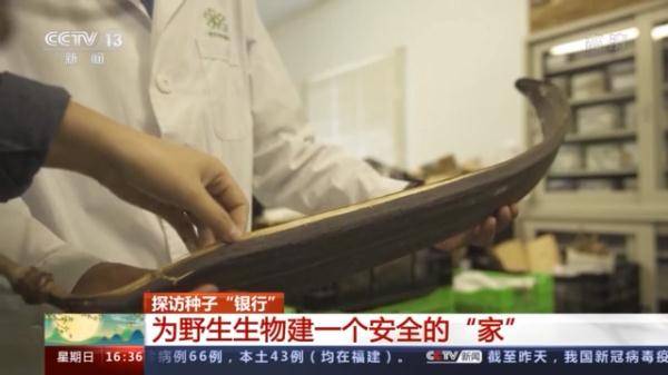 生物|探访种子“银行” 为野生生物建一个安全的“家”