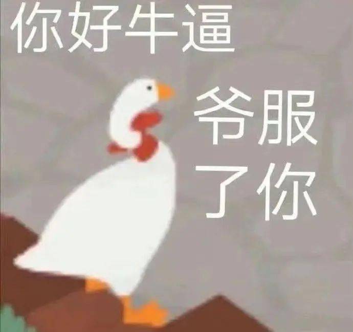 13187800136b43a8a10da6cc9e5952cc.jpeg
