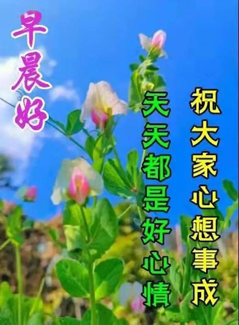 最美好的祝福和问候 1c23721ce99540f0811033c7ce0bced1.jpeg