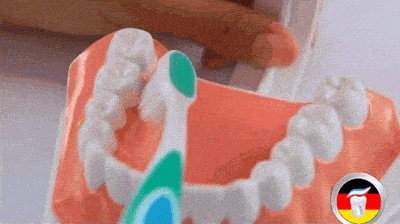 家长|每天刷牙两次的上海成人仅六成，3岁娃近半乳牙都蛀了！护牙宝典收好