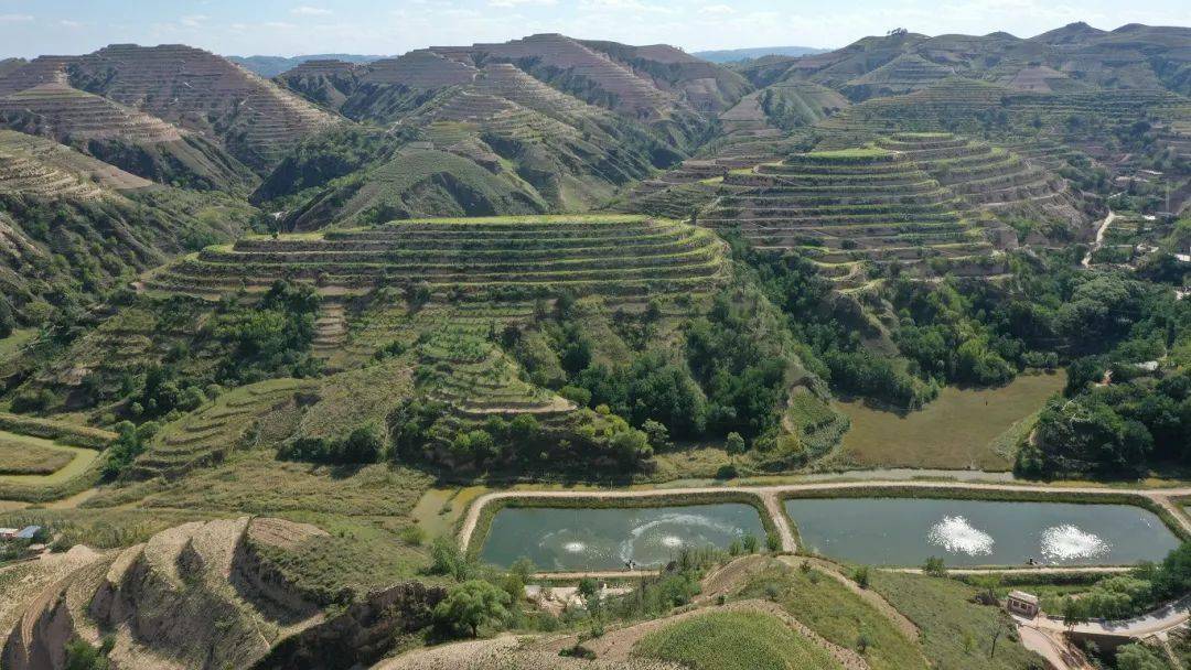 来瞰,榆林缔造高原生态,守护大河安澜!_子洲县