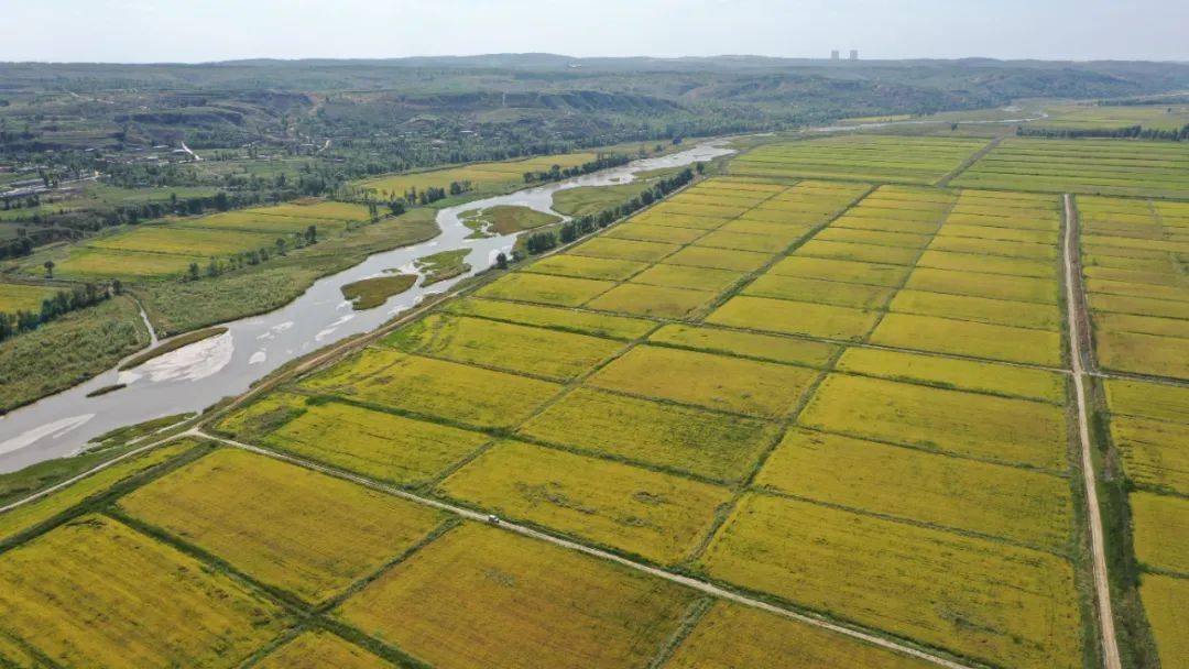 来瞰榆林缔造高原生态守护大河安澜