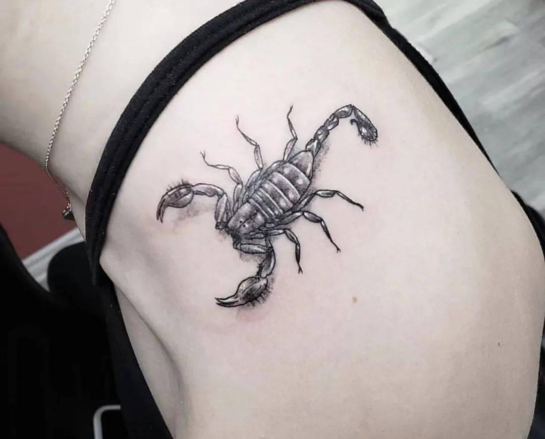 五毒之一的蝎子纹身