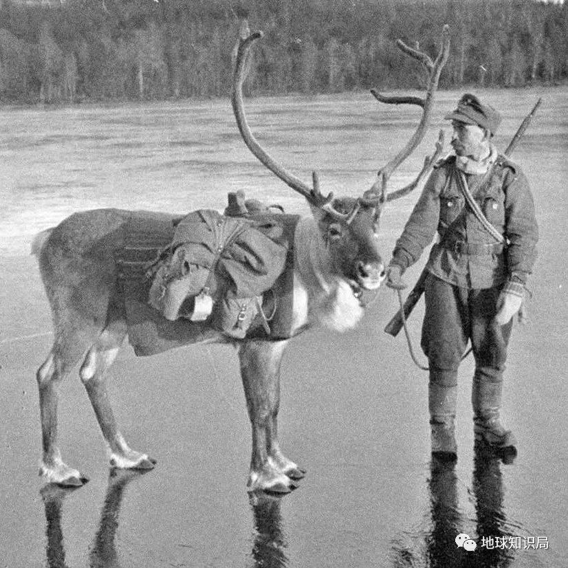 因此根本就没有为即将到来的冬季做准备:坦克还刷着橄榄绿,士兵们的