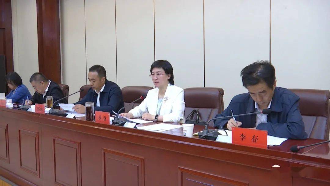 县委副书记,代县长罗睿出席会议并讲话,县上领导李存,王宝印,于智明