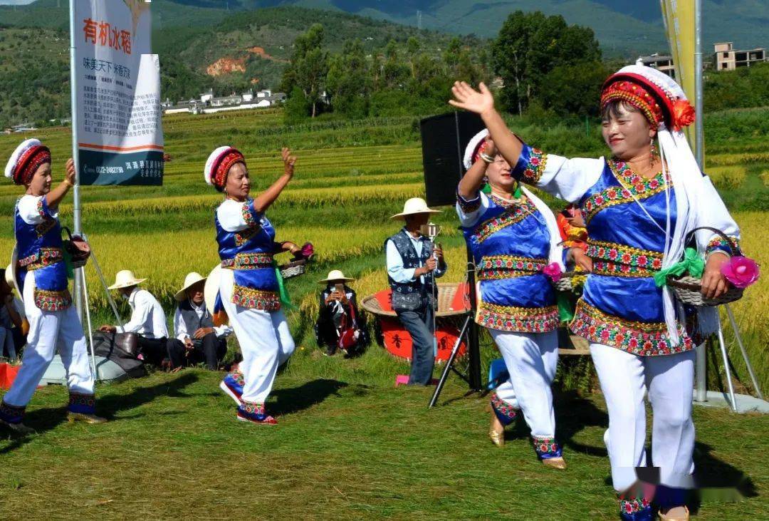 9月11日,洱源县凤羽镇举行生态软米丰收节,当地群众载歌载舞,共庆丰收