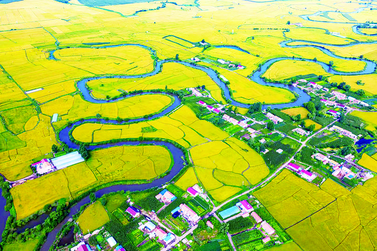 榆树市:稻花香里说丰年