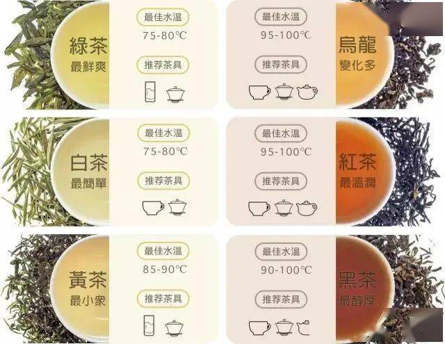 茶师中国国际茶文化研究会理事于凌汉主讲简介中国茶叶的分类与金菊梅