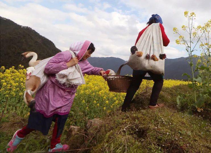 展陈出新 | 第十届全国农民摄影大展明日开幕