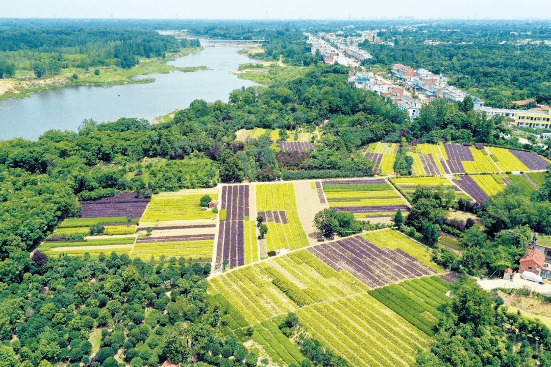 潢川县城人口_河南或增加光州市 潢川光山构建市域副中心城市(2)