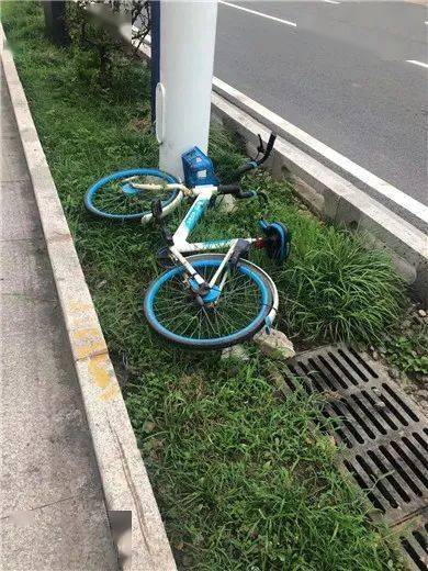 不文明行为真实照片图片