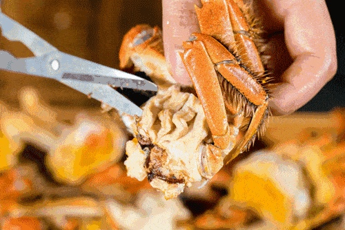 35bd129e0c6a4234af7674eeb60a1218.gif