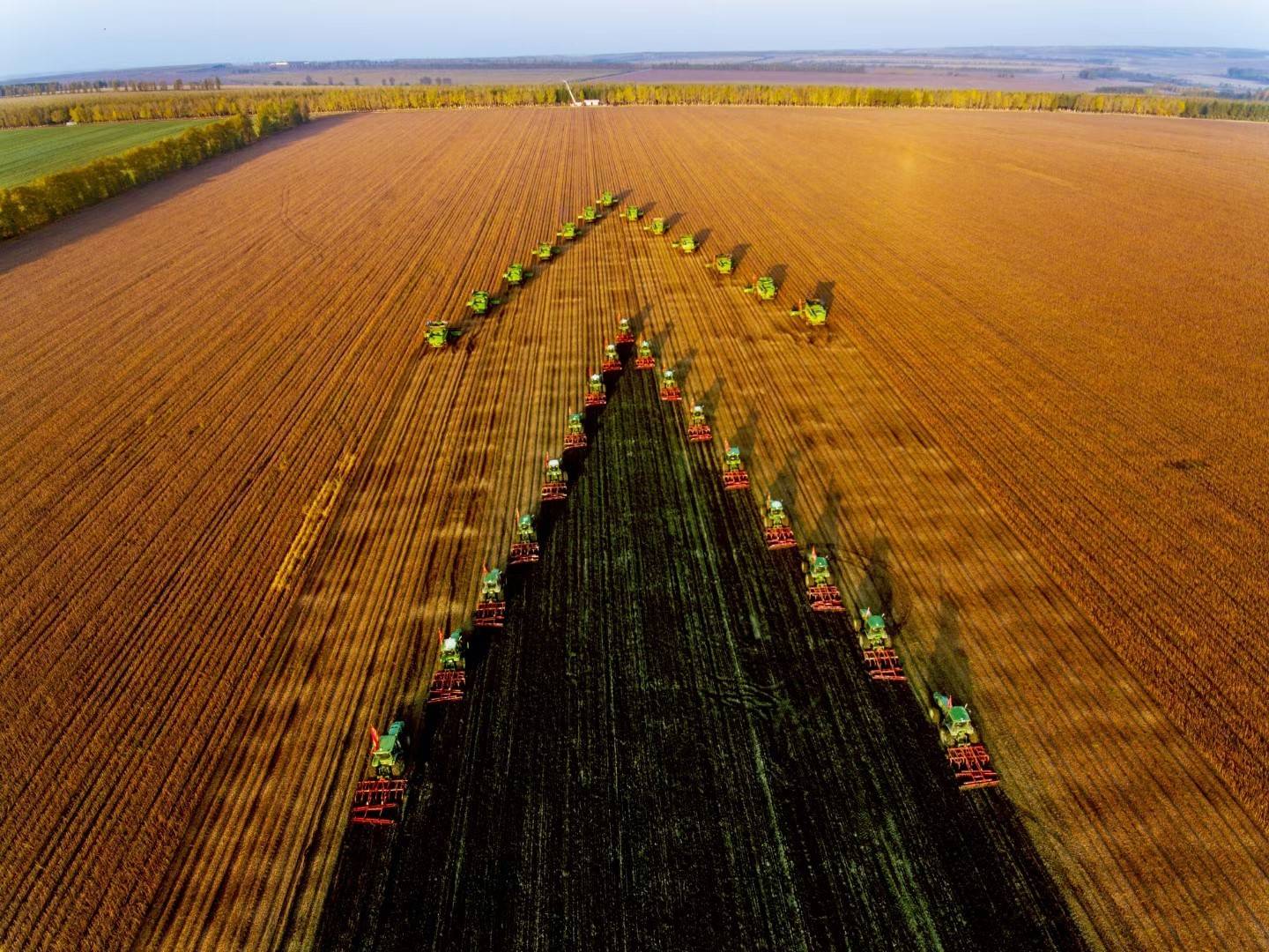 农业大省黑龙江的丰收场景,是那样的雄浑壮观.