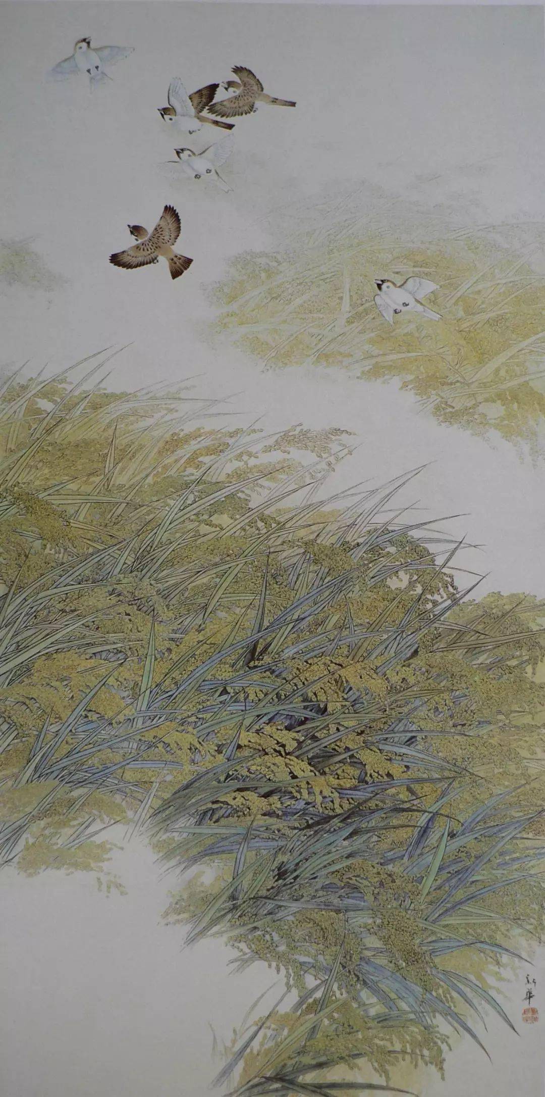 刘新华现代工笔花鸟画40图,空灵雅致,楚楚动人