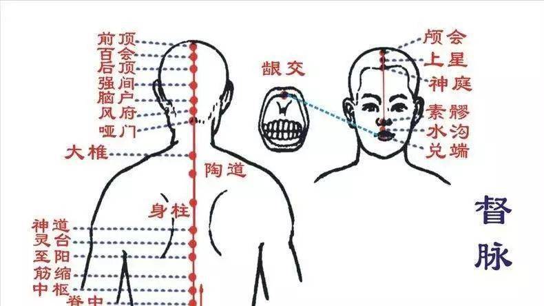 a6a6ddf6189541a39859c7d74100ffd3.jpeg