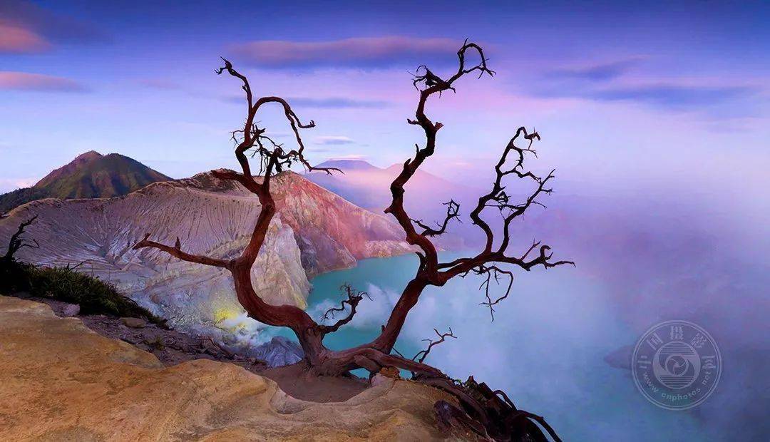 摄影|获奖公布丨2021第十届台中国际摄影艺术展作品（自然组）