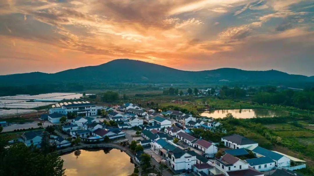 区委常委会集体调研星甸街道