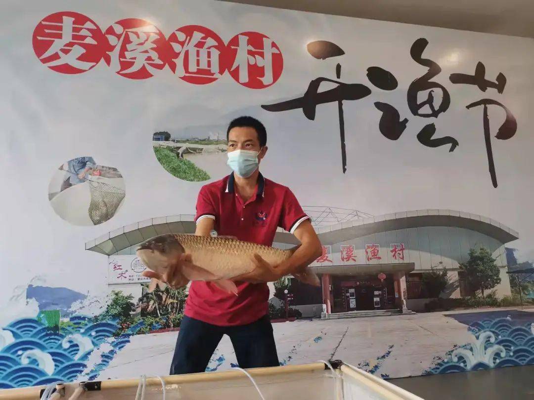 一声号令开渔去期待鱼满仓而归高要区大湾镇麦溪生态园首届开渔节来了