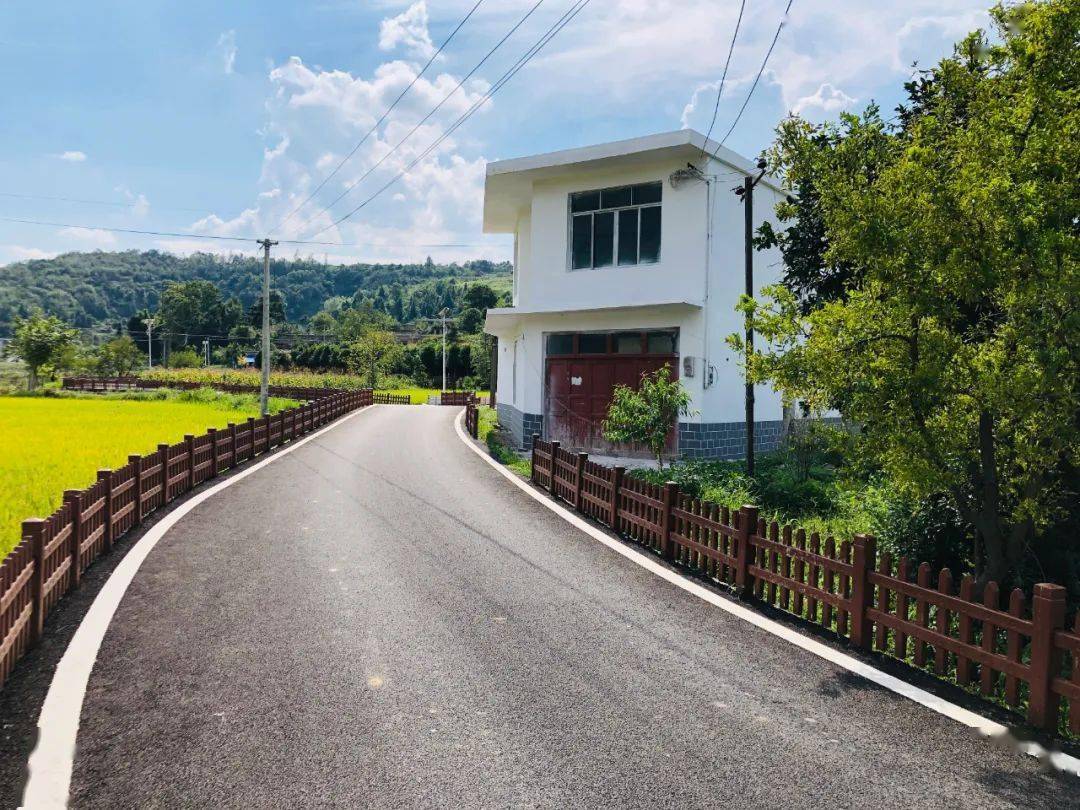 安底镇老场村: 乡村振兴出实效 产业兴旺乡村美