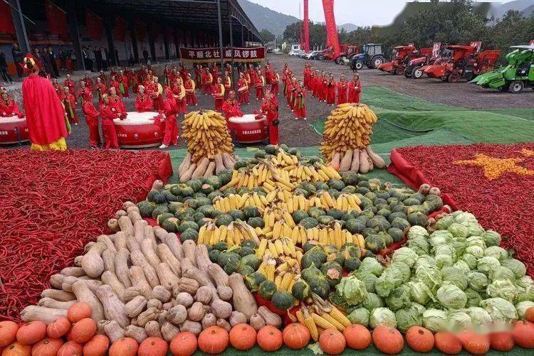 西红柿,辣椒等作物拼成精美图案和"五谷丰登"字样,喜庆丰收