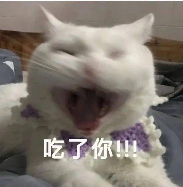 7db80795467a4db68753c2e8da18c007.jpeg