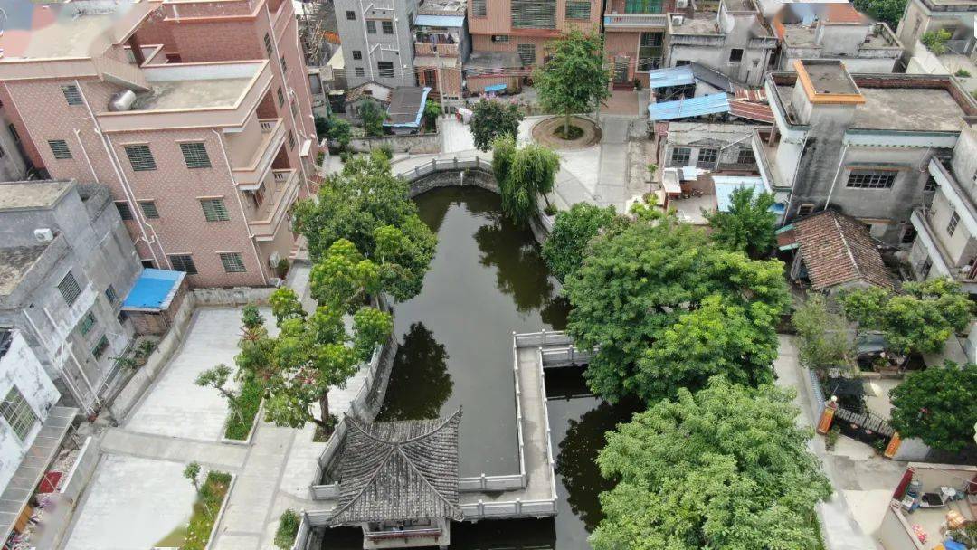 麻涌古梅乡韵又变样!景观提升工程已启动