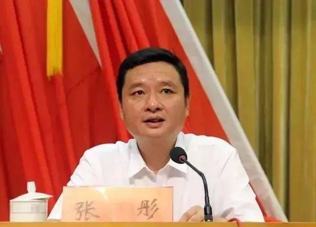 刚刚通过！宝应人张彤，当选副市长……_工作