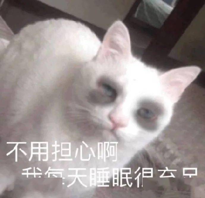 b57de179e09140b0b3aef0985332732c.jpeg