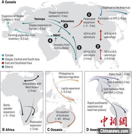 遗传|中国科学家领衔在《科学》发文 古DNA系统揭秘人类进化密码