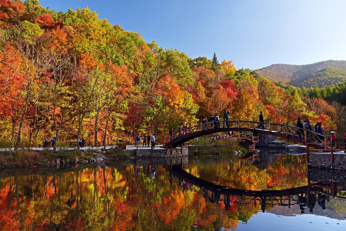 辽宁本溪,中国枫叶之都,红叶醉秋色,来一场绝美的追枫旅行吧