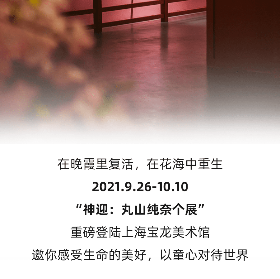 青蛙|「神迎：丸山纯奈个展」空降上海宝龙美术馆，邀你感受生命的温暖！