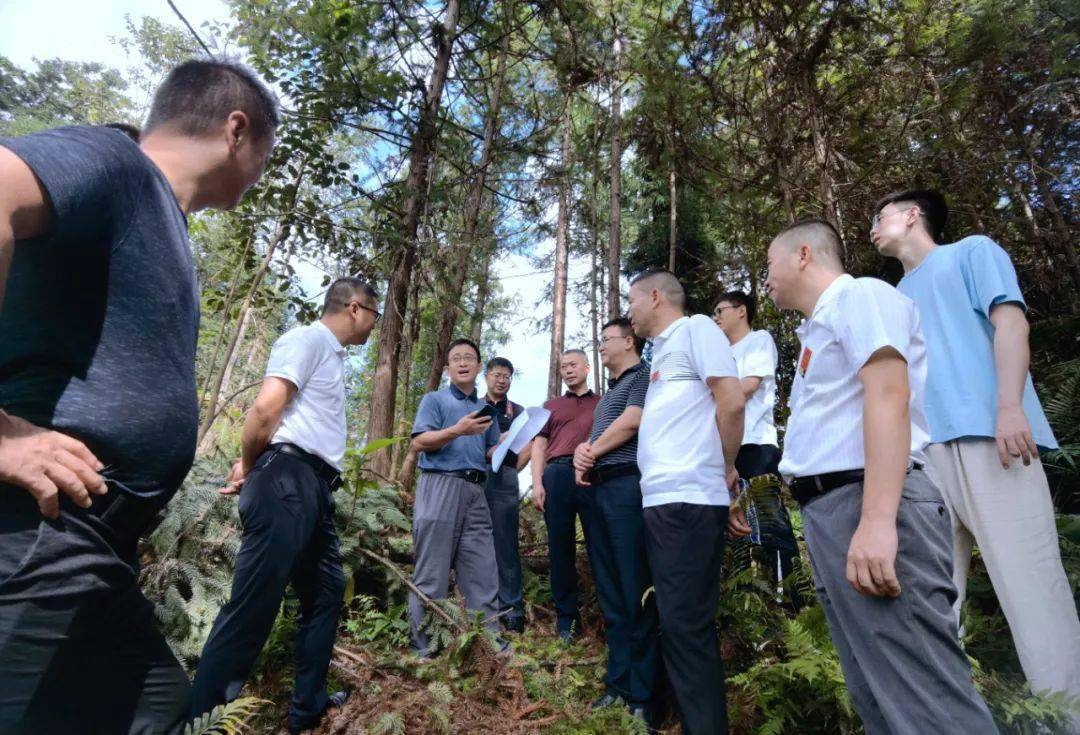 国家林业和草原局资源司调研组到榕江调研林木采伐管理工作