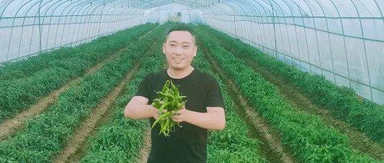江西理工男付俊：返乡种辣椒，两代“寻椒人”种出高安椒！_老乡