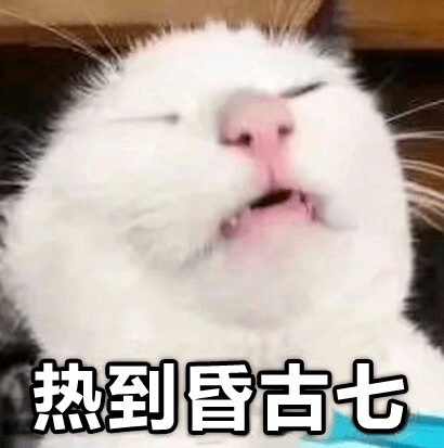 f56b56c62c90407094327914de9bb191.png