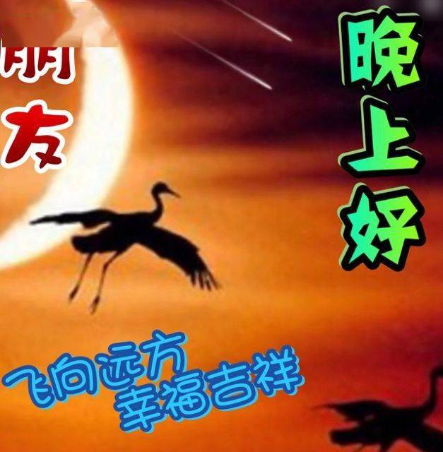 早上好表情包上午好中午好晚上好美丽的一天祝天天好心情