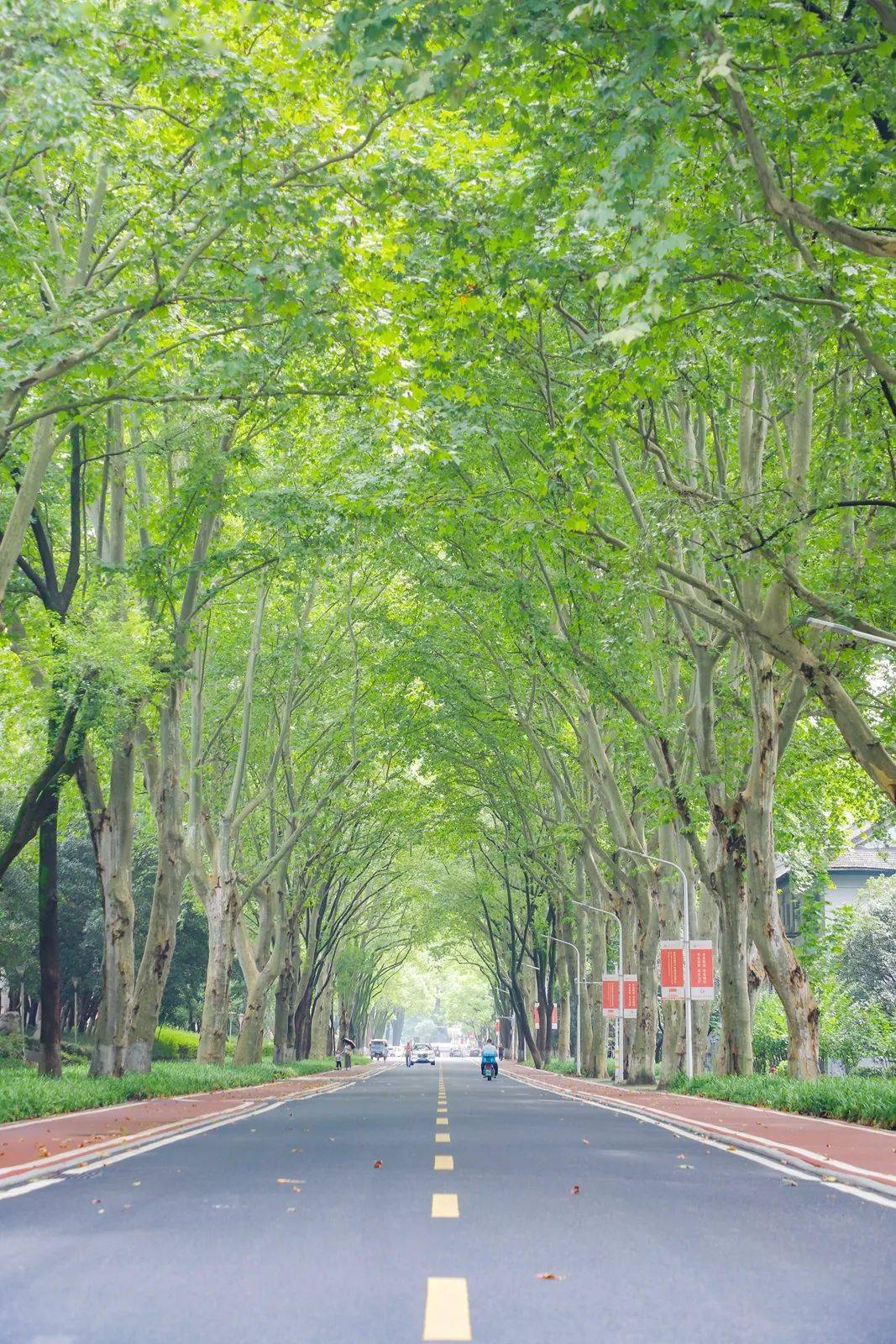 最近被华师这些地方美到了