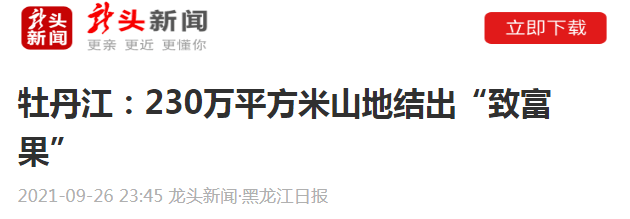 龙头新闻黑龙江日报牡丹江230万平方米山地结出致富果