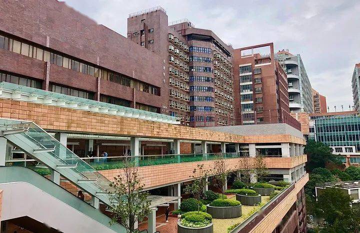 香港留学 申请香港大学的研究生需要具备什么条件